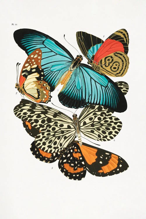 Butterflies I by Emile Alain Seguy wall art