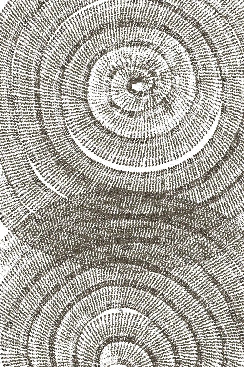 Tree Age by Martina wall art