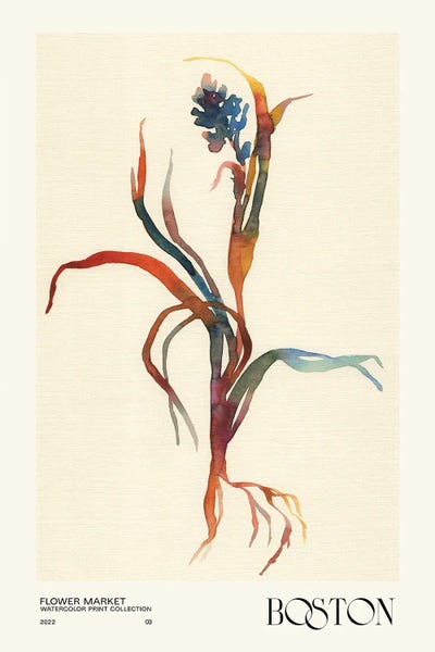 Minimalist Flowers: Watercolor Print Collection. Flower Market - Boston by NKTN