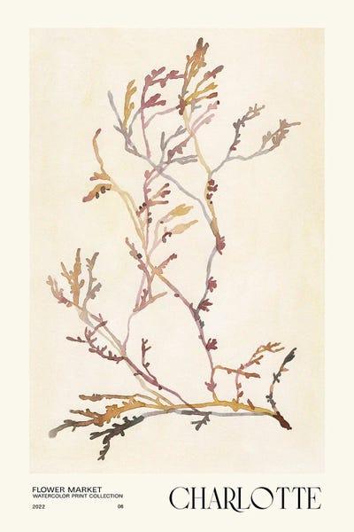 Minimalist Flowers: Watercolor Print Collection. Flower Market - Charlotte by NKTN