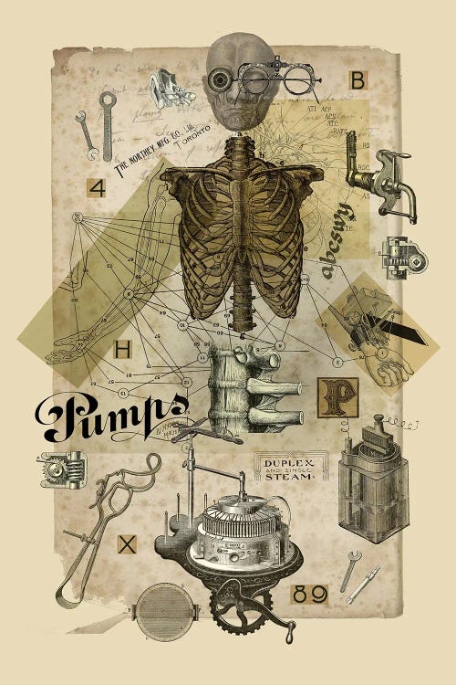 Body In Metamorphosis