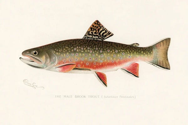 Sherman F. Denton
