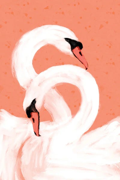 Love Birds: Swans by Treechild