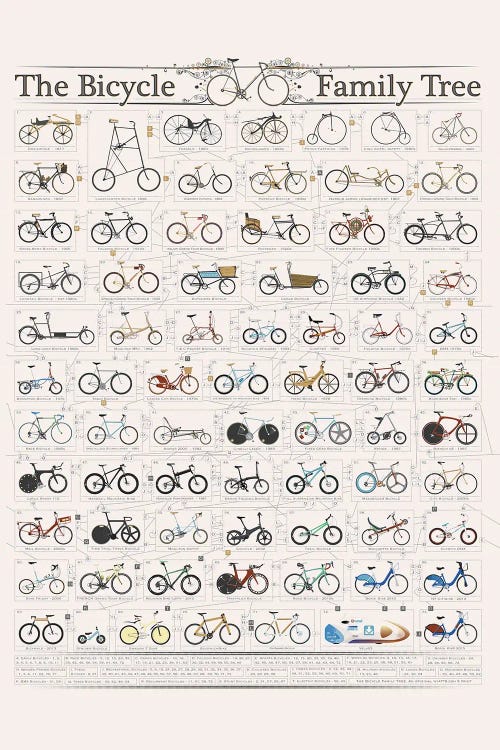 The History Of The Bicycle