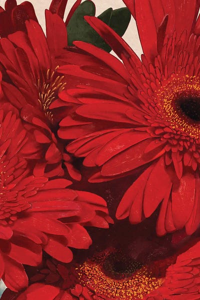 Red Gerbera Daisy Detail