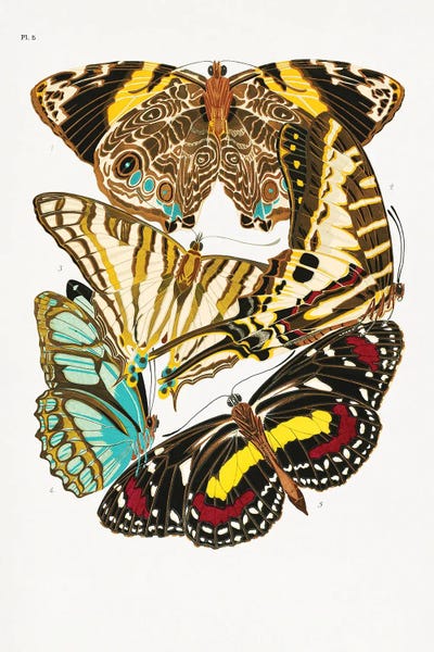 Vintage Animal Illustrations: Butterflies X by Emile Alain Seguy