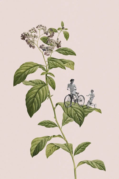 Botanical Cycling by Frida Floral Studio wall art