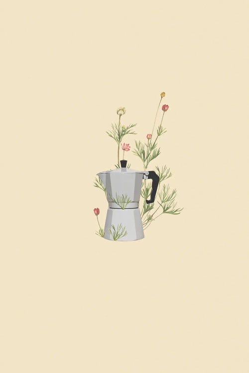 Floral Moka Express