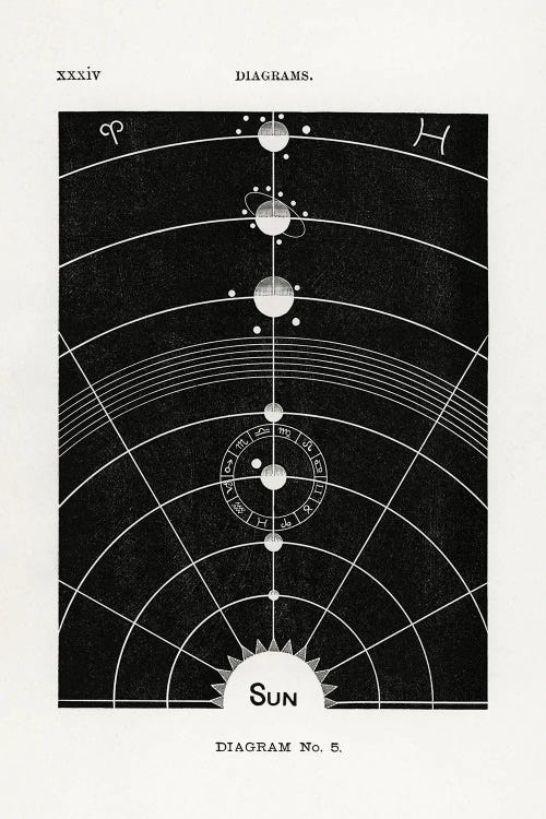 Solar Biology V by Hiram Eratus Butler wall art