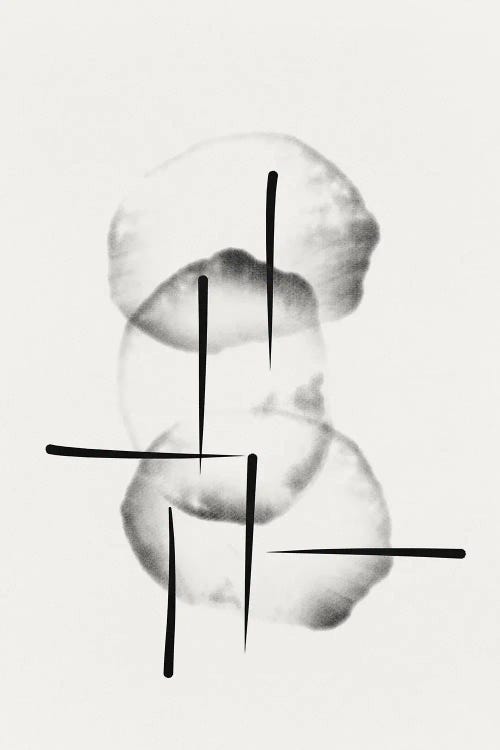 Organic Circles With Lines