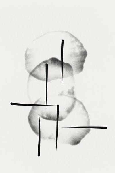 Organic Circles With Lines