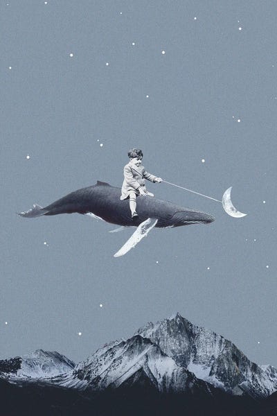 Humpback Whales: Aim For The Moon by Maarten Leon
