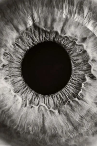 Eyes: Iris by Marianne Bassil
