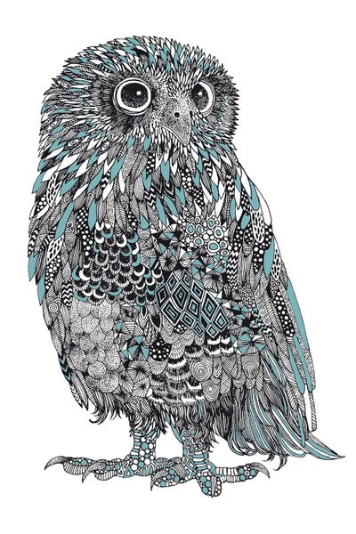 Baby Owl