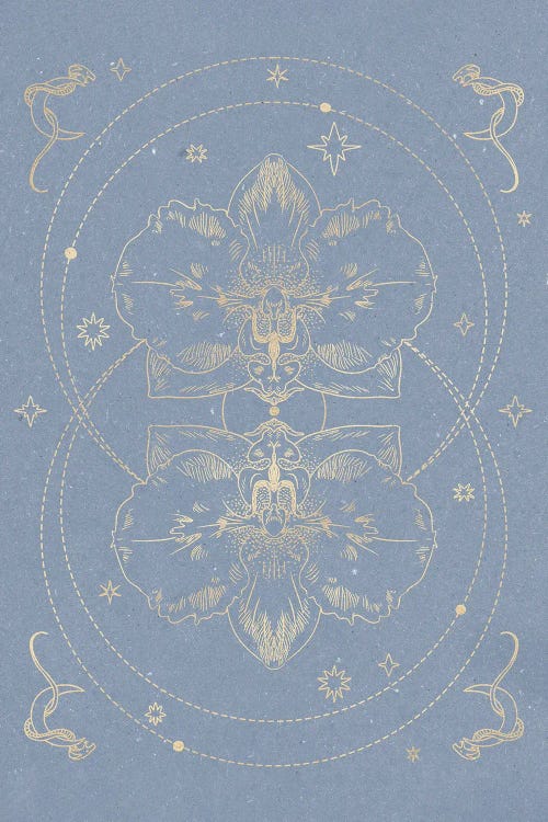The Mystical Orchid I by NKTN wall art