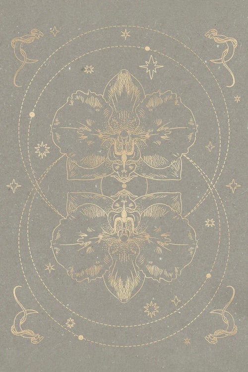 The Mystical Orchid II by NKTN wall art