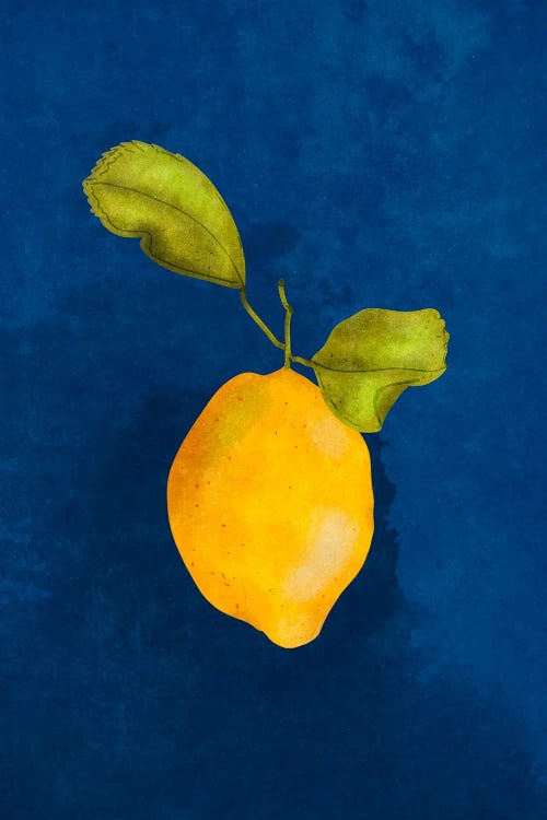 Just A Little Lemon by Raissa Oltmanns wall art