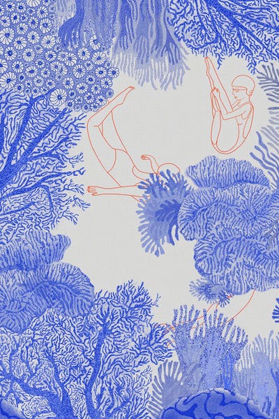 Coral: Underwater II by Jota de jai