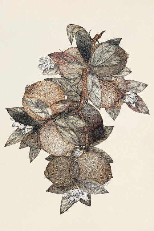 Pomegranate (1867) by Rufus King wall art