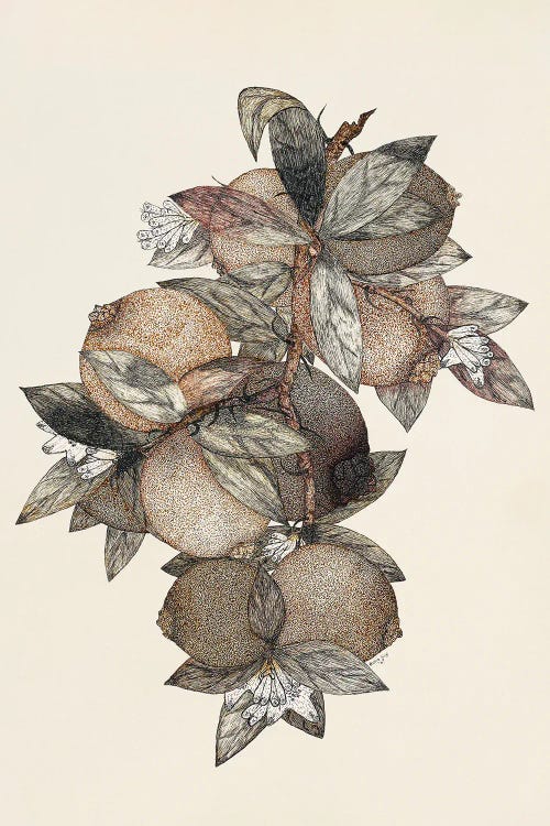 Pomegranate (1867)