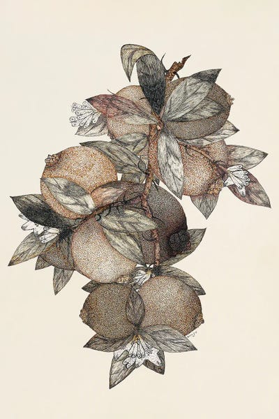 Pomegranate (1867)