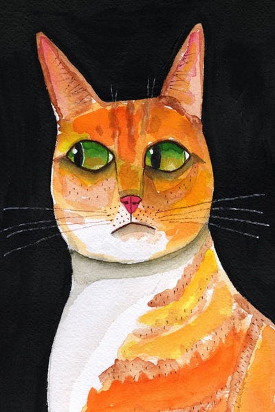 Side Eye Cat Closeup