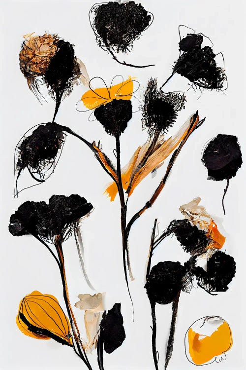 Black Dry Flowers