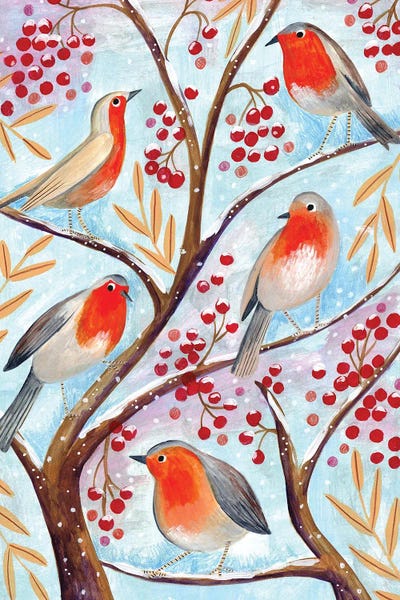 Winter Birds Robins Christmas Snow