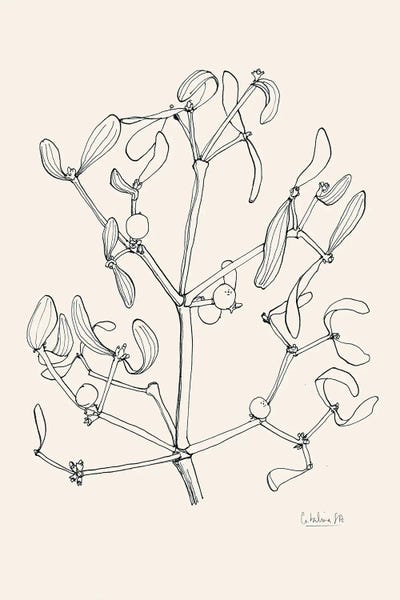 Minimalist Christmas Decor: Misteltoe Ink Drawing by Catalina Somolinos