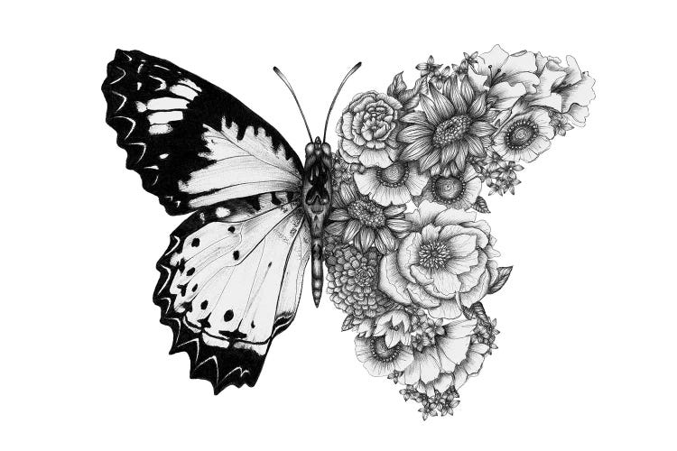 Ecmazur Butterfly In Bloom by EC Mazur wall art