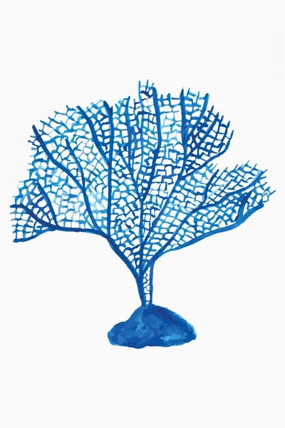 Coral: Arbol Coral by Elizabeth C
