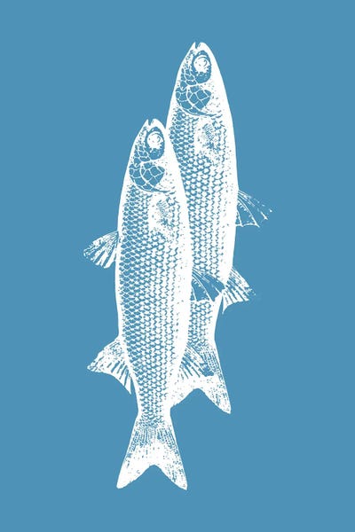 Fine Art Print: Pescados by Elizabeth C