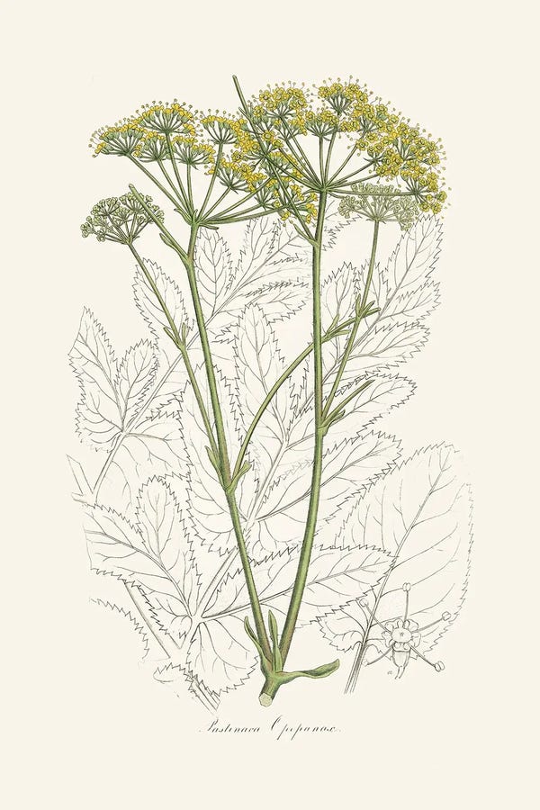 John Stephenson and James Morss Churchill