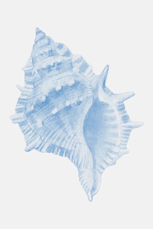 One Blue Conch