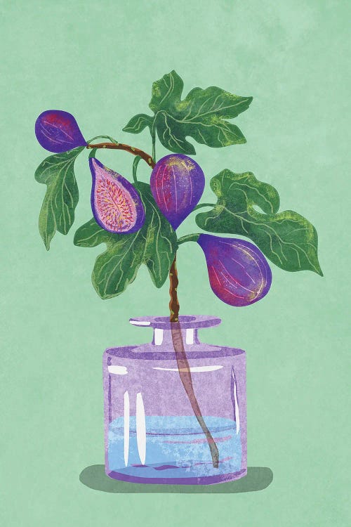 Figs Branch In Vase
