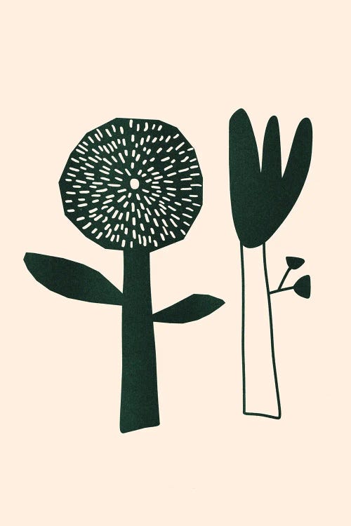 Riso Flowers by Silvia Visscher wall art