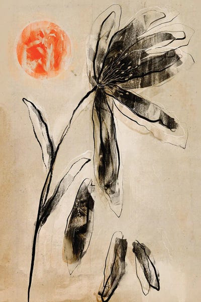 Minimalist Flowers: Gentle Transience by Treechild