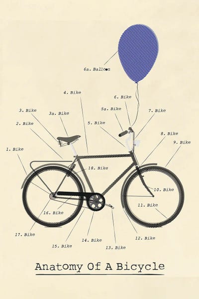 Anatomy Of A Bicycle Page