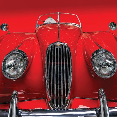 The Red Jaguar by Roland Weber canvas print