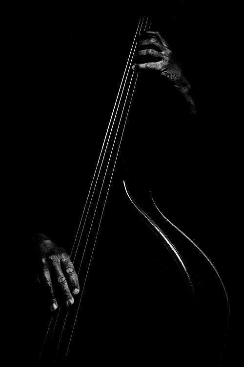 Le Contrebassiste by Strugala Didier wall art
