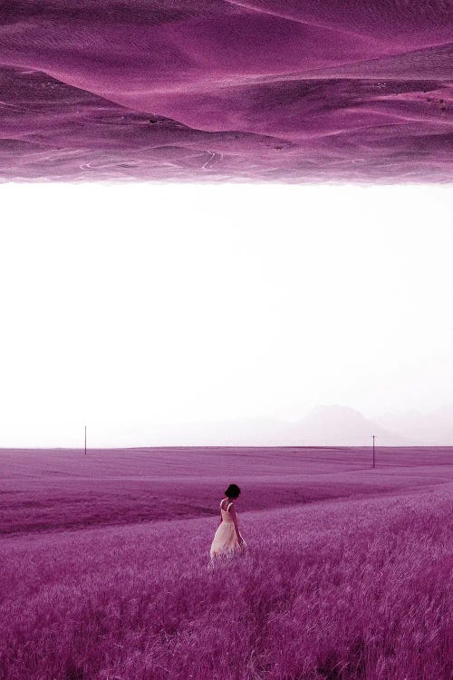 Purple Fields by Ariz Rab wall art