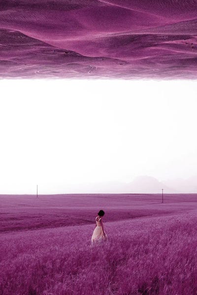 Dreamer: Purple Fields by Ariz Rab