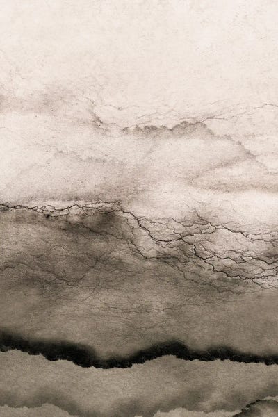 Organic Texture by Iris Lehnhardt canvas print