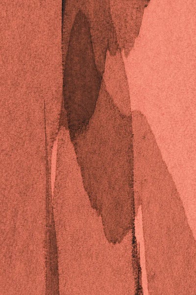 Transparent by Iris Lehnhardt canvas print