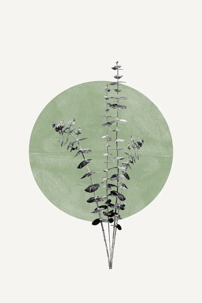 Japandi: Eucalyptus And Green Moon by THE MIUUS STUDIO
