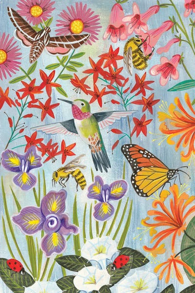 Hummingbirds: Pollinators And Flowers by Caroline Bonne Muller