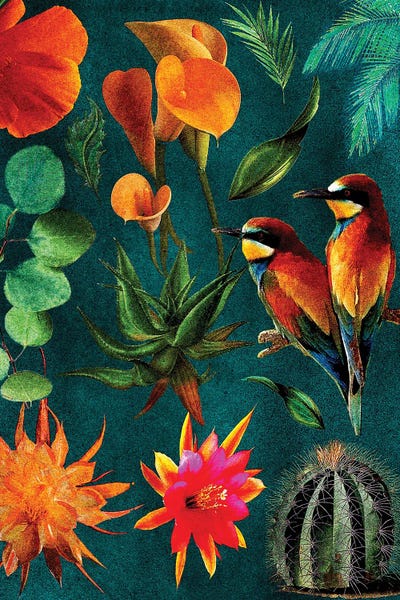 Astronaut - Canvas Prints: Cactus Collage.Png by Giovanna Nicolo