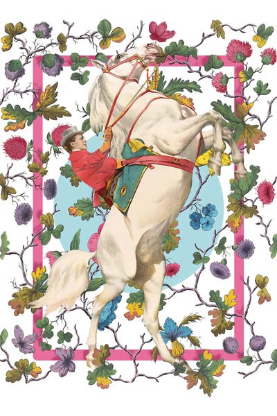 Equestrian: La Cavaliaure by Marja Van Den