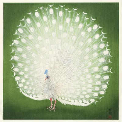 Canvas Print: Peacock by Ohara Koson - thumbnail