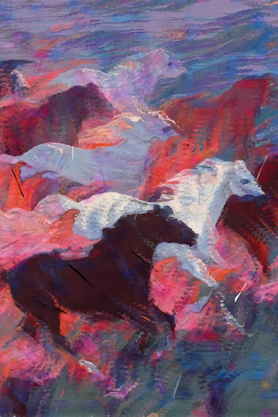 Wild Radiance